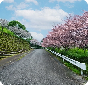 四季折々の花々に包まれる景観